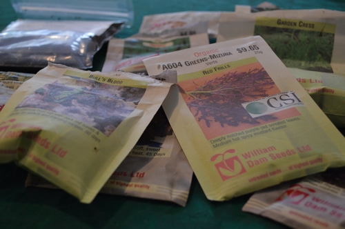 micro greens seeds