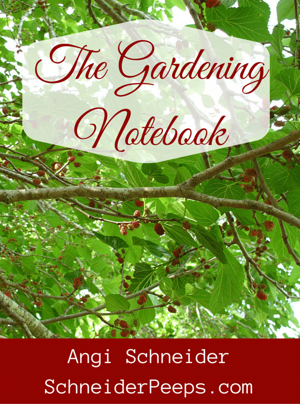 The Gardening Notebook book cover image
