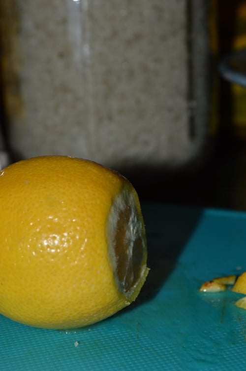 lemon