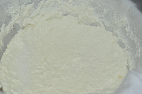 How to make ricotta cheese