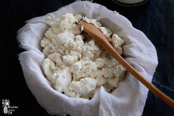 How to Make Ricotta Cheese