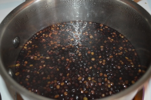 elderberry syrup 1