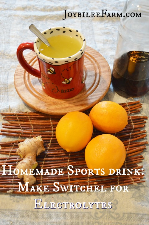 Homemade Sports Drink -- Switchel -- Joybilee Farm