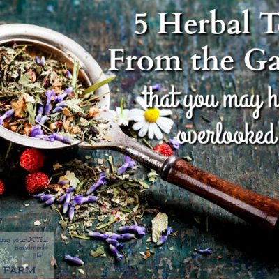 5 Herbal Teas From the Garden