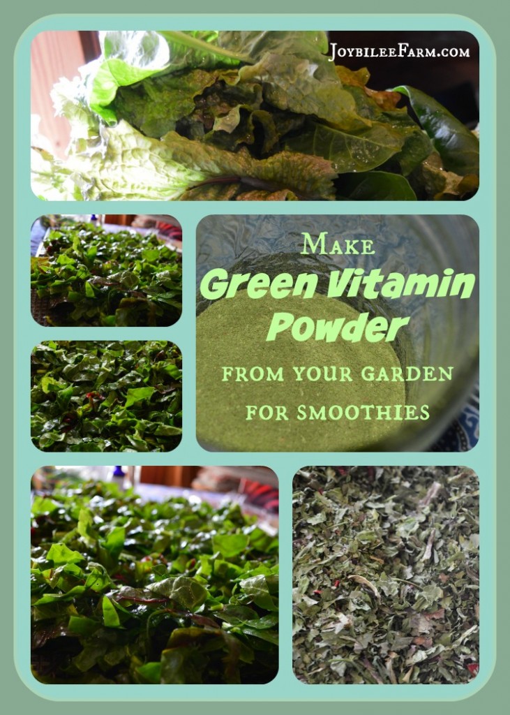 images of fresh lettuce and kale, dried kale, and finished green powder in a collage