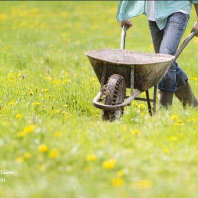 20 Habits to Save Food From Waste in 2020