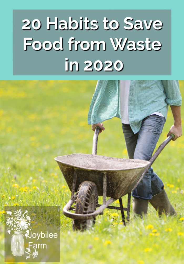 Abundance often breeds waste. Adopt these 20 habits and take steps to make 2020 be a no food wasted year on your homestead.   