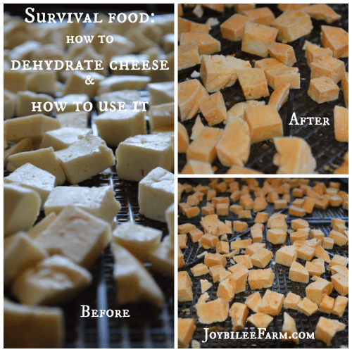 Survival Food: how to dehydrate cheese and how to use it -- Joybilee Farm
