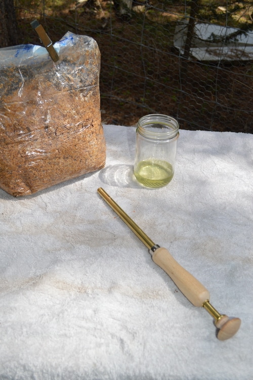 How to grow mushrooms on logs – Joybyilee Farm