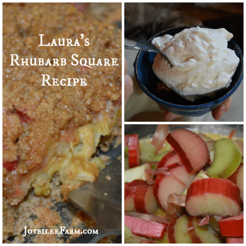 Rhubarb Square Recipe - Joybilee Farm