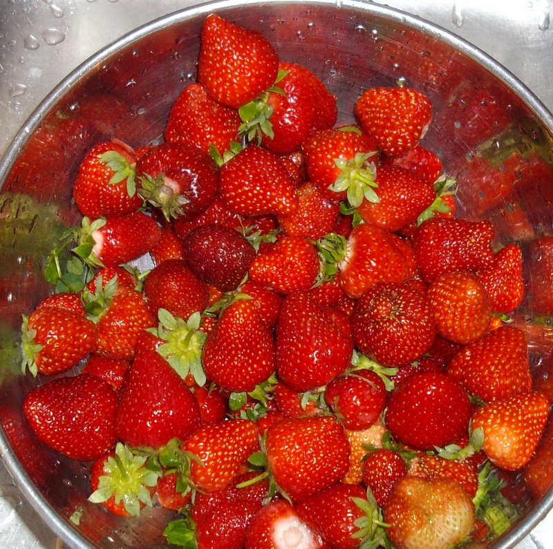 How to grow strawberries and asparagus in the same bed - Joybilee Farm