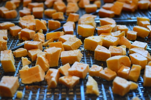 Survival Food: how to dehydrate cheese and how to use it -- Joybilee Farm