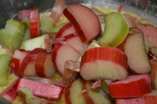 Rhubarb Square Recipe - Joybilee Farm