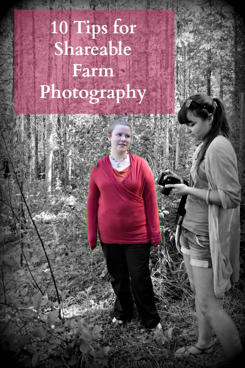 You need photos for blog posts, photos for your Etsy pages or online store front, and photos for articles or press releases in newspapers and magazines. If you write a homestead blog, your audience needs beautiful photos to encourage sharing on social media. Social Media, like Pinterest, is driven by high quality photos and you'll get more shares if you can provide them.