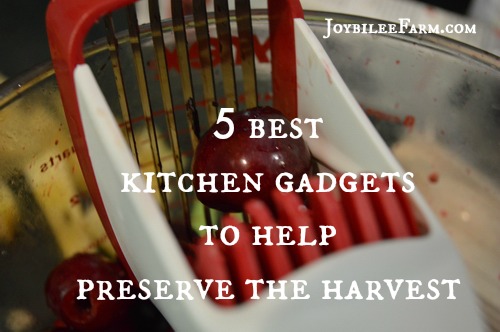 5 best kitchen gadgets to help preserve the harvest
