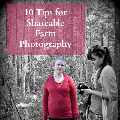 10 Tips for Farm Photographs
