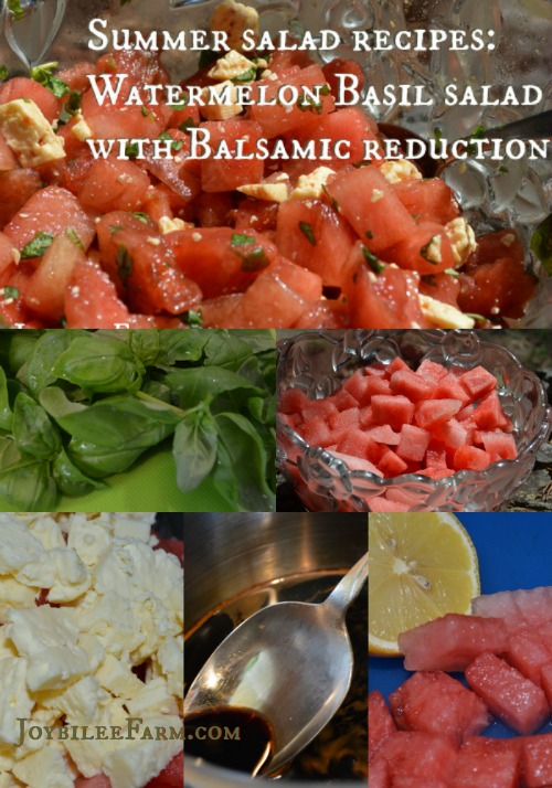 Summer Salad Recipes Watermelon Basil Salad - Joybilee Farm