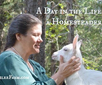 Real Life Homesteading – A Day in the Life