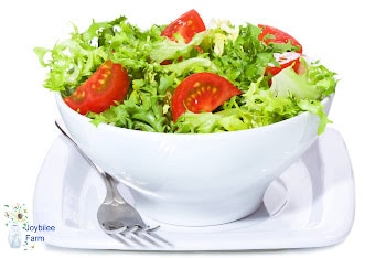 Lemon-Dill Garlic Scape Dressing