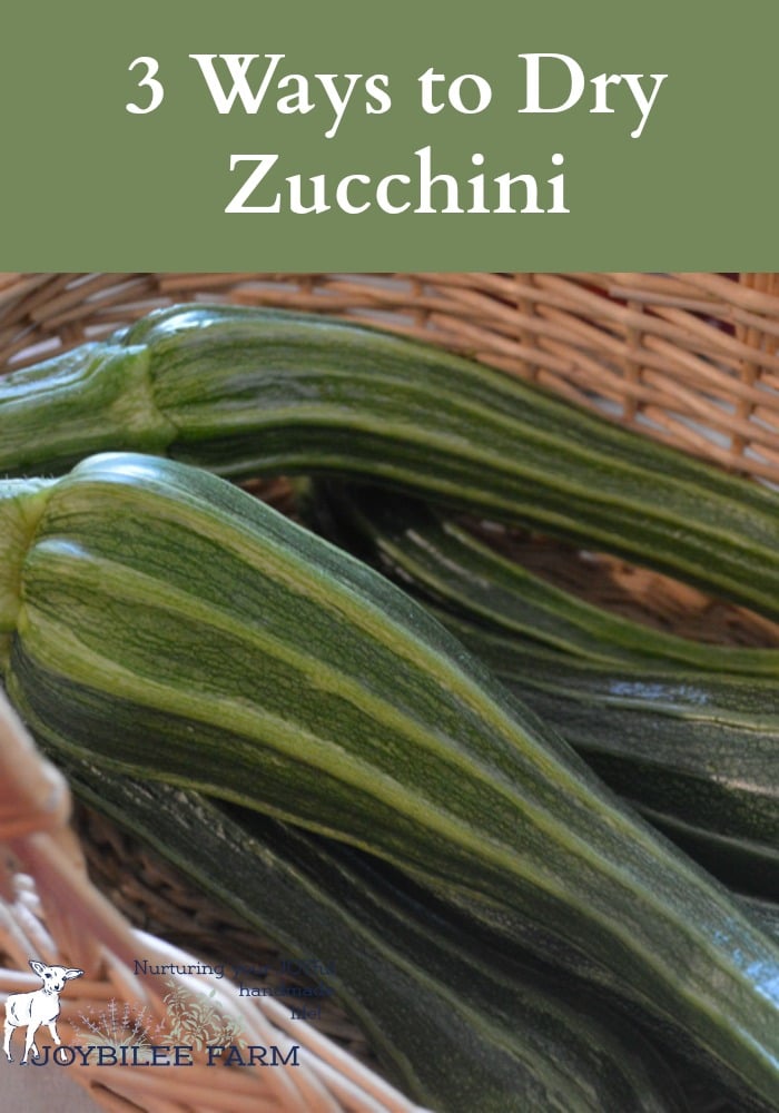 Take that prolific blessing of zucchini and dry some zucchini for winter. Don't waste the abundance. Here are more zucchini recipes