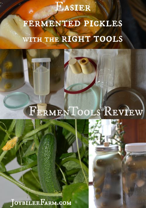 Easier fermented pickles with the right tools -- Joybilee Farm