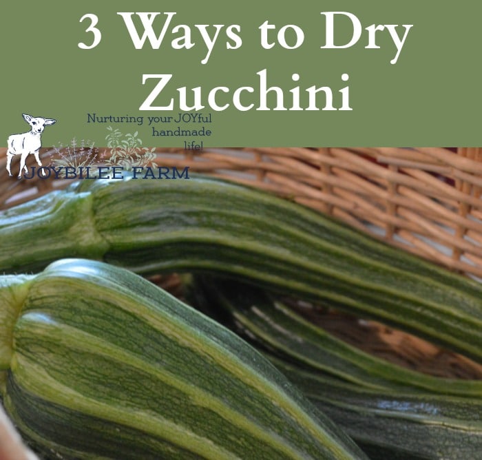 Zucchini recipes
