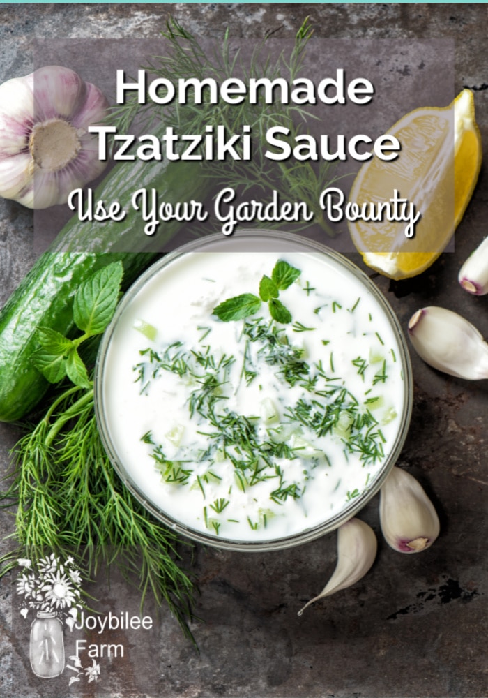Use this tasty tzatziki recipe to make a healthier version of store bought tzatziki sauce and save money, too. Your taste buds will love it!