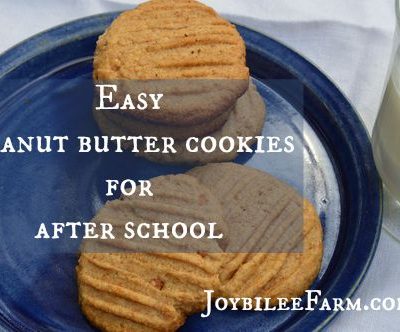 Easy Peanut butter cookies for after-school