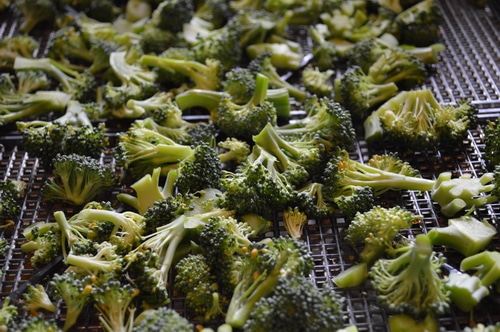 Drying Broccoli for Food Storage the Lazy Way -- Joybilee Farm