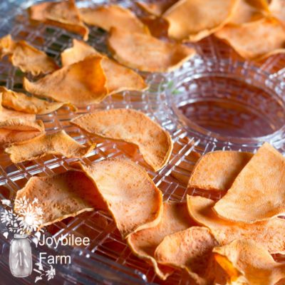 6 Steps to Turn Your Excess Produce Into Tasty Chips with a Food Dehydrator
