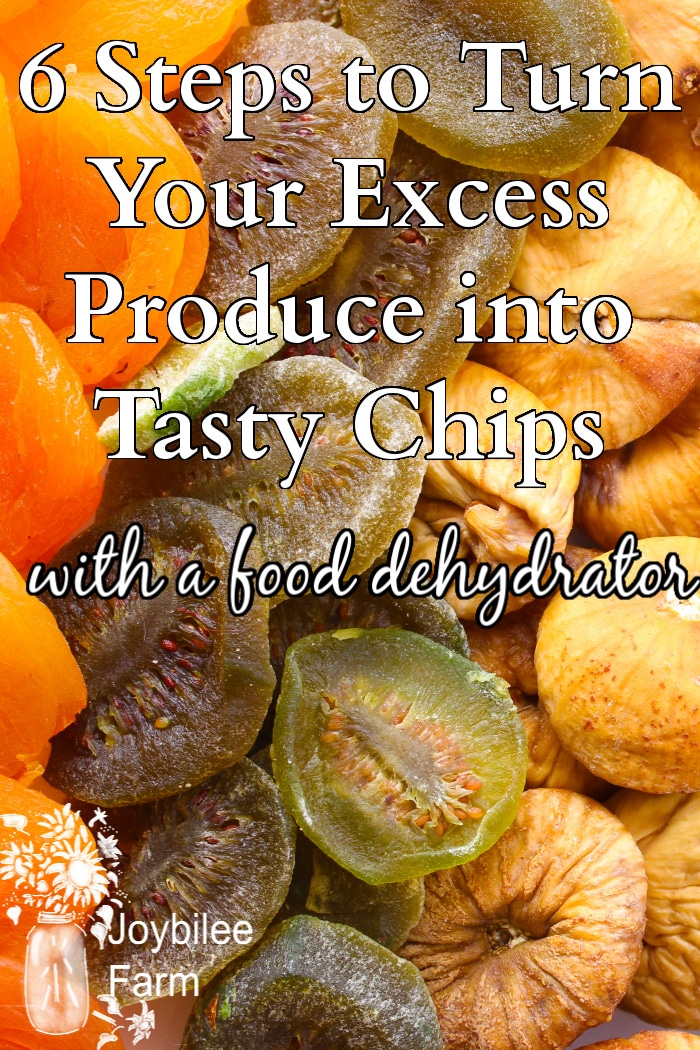 various dehydrated fruits