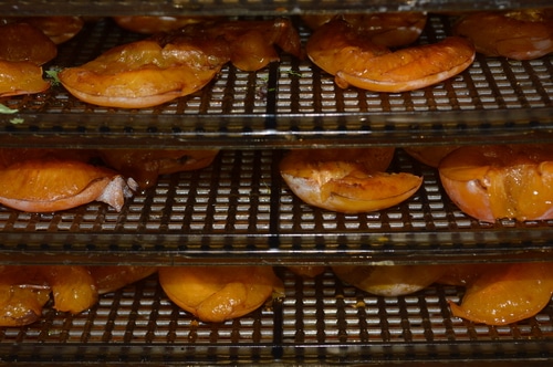 6 simple steps to turn your excess produce into tasty chips with a food dehydrator -- Joybilee Farm