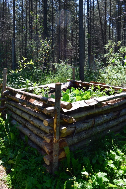hugelkultur bed
