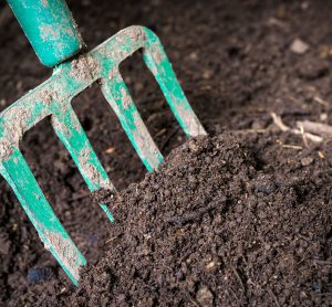 5 tips for organic gardening