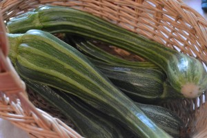 Organic gardening: Know when to harvest these 25 organic vegetables -- Joybilee Farm