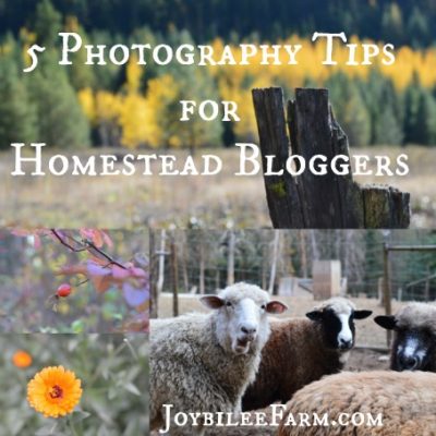 5 Photography Tips