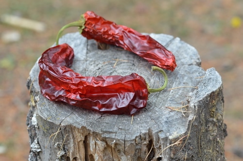 turning up the heat in your hot sauce recipes -- Joybilee Farm