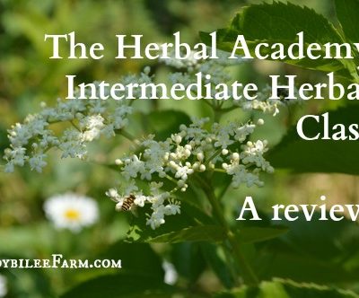 Herbology: The Herbal Academy – “Intermediate Herbal Class”