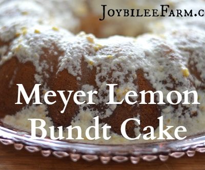 Meyer Lemon Bundt Cake