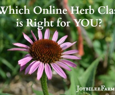 Herbology: Which Online Herbal School is Right For YOU?