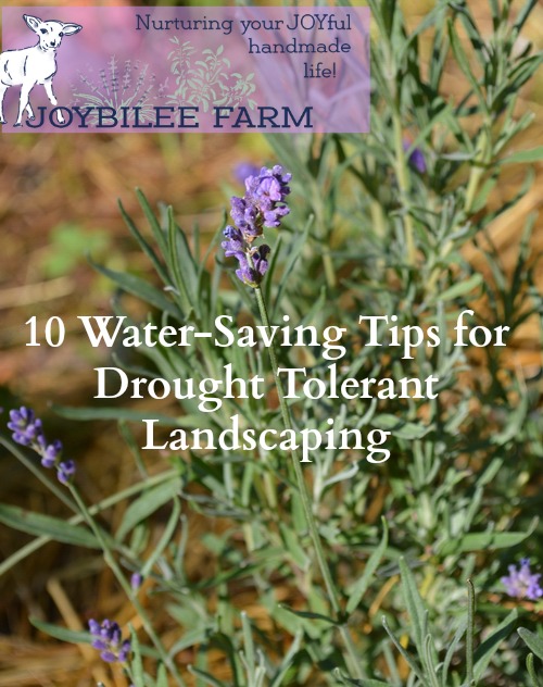 You don't have to give up on a gorgeous yard in drought. You can use the drought tolerant landscaping principles in this book to create a beautiful and productive yard.