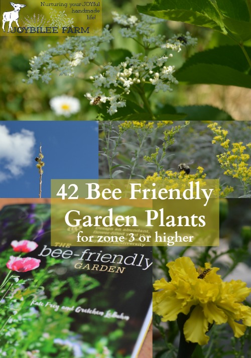Things may improve if you transform your garden area with the bees in mind. According to Frey and LeBuhn in The Bee-Friendly Garden, native bee populations are in decline, just as colony collapse disorder is endangering imported honey bees. This in turn threatens the food security of the whole world. What is their solution to this cataclysmic threat? Create more native pollinator habitat in backyard gardens everywhere.