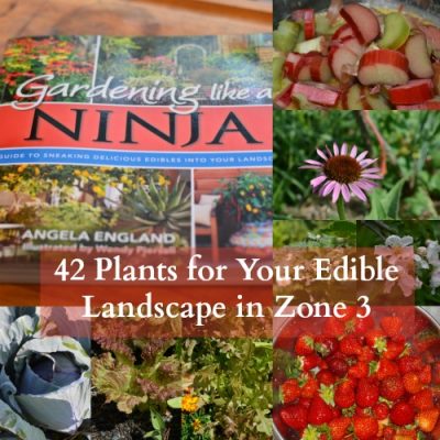 Edible Landscape