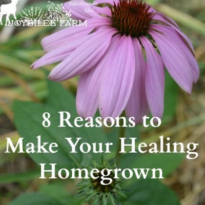 Benefits of Growing Medicinal Herbs