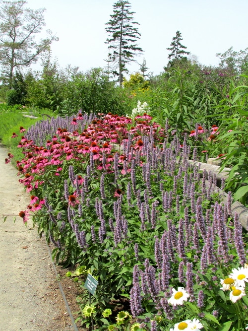 This book is for those who need tips to move from lawn maintenance to edible abundance. You’ll find a crash course in garden design that will help you work out a plan for your specific circumstance, climate, hardiness zone, and eye sore areas that need help