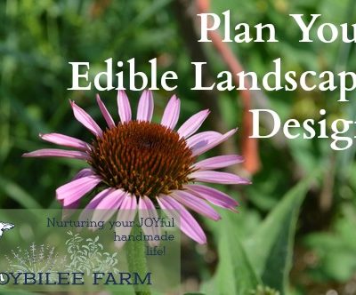 Plan Your Edible Landscape Design with a Little Help