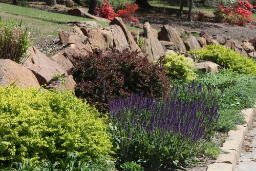 This book is for those who need tips to move from lawn maintenance to edible abundance. You’ll find a crash course in garden design that will help you work out a plan for your specific circumstance, climate, hardiness zone, and eye sore areas that need help