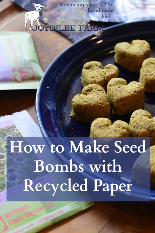 Plant the entire seed bomb on bare ground by digging a shallow hole and covering the seed bomb with 1/8th inch of soil. Keep moist at all times, while you are waiting for the seeds to germinate.