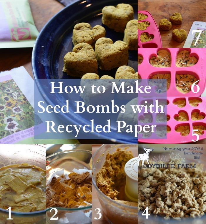 photo collage of making seed bombs