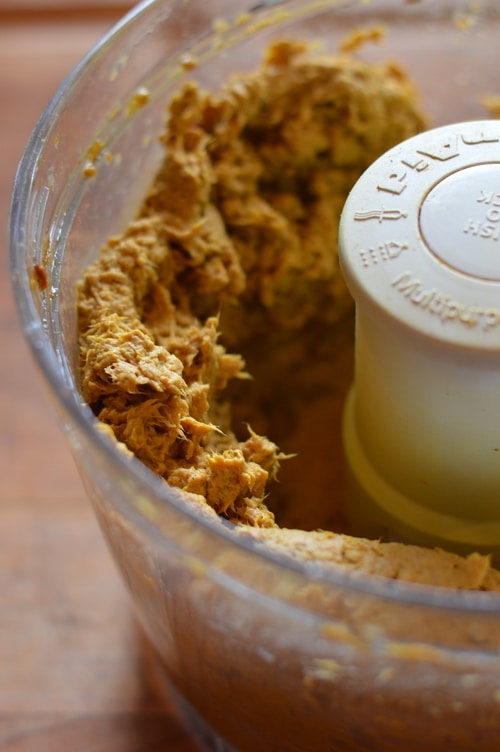 paper pulp in a blender for making seed bombs